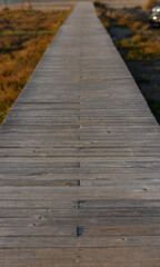Obraz premium A wooden walkway leading through lush marshland at golden hour, inviting exploration and reflection.