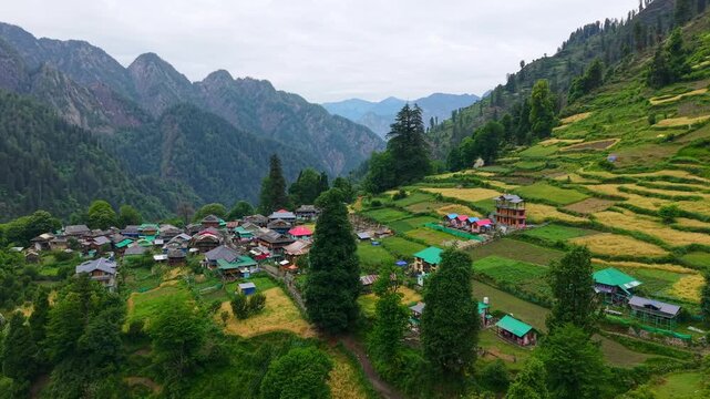 Aerial view of village houses among terraced fields and forested mountains in Grahan Valley, Himachal Pradesh, India