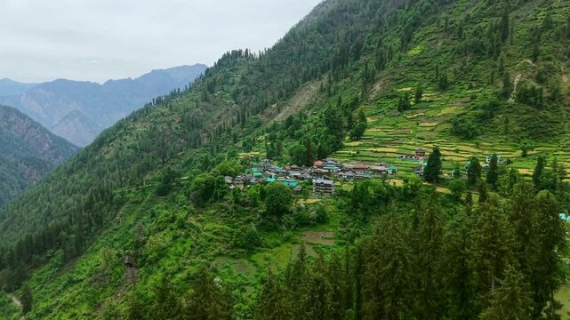Aerial view of Grahan village with terraced fields on Himalayan steep mountain slope, India