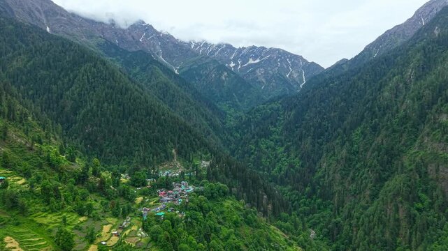 Wide drone shot of Grahan village amid dense pine forests and expansive Himalayan mountains, Himachal Pradesh