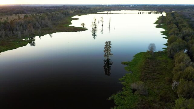 Expansive view of Lake Hancock as isolated trees rise from calm waters. Ideal for nature documentaries or environmental studies.