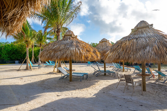 Shaded beach relaxation area with thatched umbrellas and chairs. Tropical beach setting with thatched palapas, blue lounge chairs, and palm trees in Key West Florida.