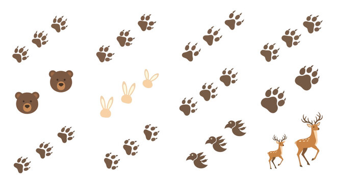 Animal Tracks and Silhouettes: Bear, Deer, Rabbit, Bird Footprints on White Background
