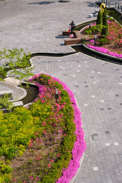 Supia Lake Botanical Garden, Sangdong Lake Park, Bucheon, Gyeonggi-do, South Korea