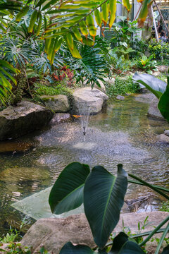 Supia Lake Botanical Garden, Sangdong Lake Park, Bucheon, Gyeonggi-do, South Korea