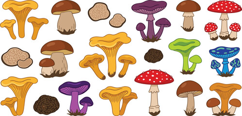 Colorful hand drawn mushroom collection featuring chanterelles porcini and amanita fungus icons for autumn nature forest foraging and organic food vector. © MST HASMOTARA