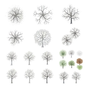 Collection of Winter Trees Top View, Stylized, Snow Covered Branches