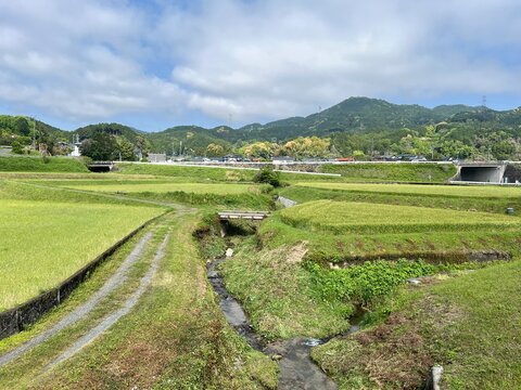 日本の農村の風景