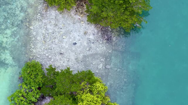 Top Down Aerial View of Tropical Mangrove Island and Turquoise Water