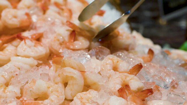 Fresh Cooked Shrimp on Ice at an International Seafood Buffet