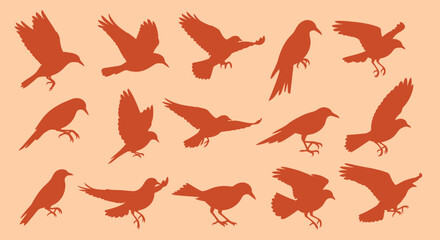 Fototapeta premium Collection of Bird Silhouettes in Various Flying Poses.