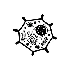 Fototapeta premium Animal Cell Diagram - Black and White Vector Illustration