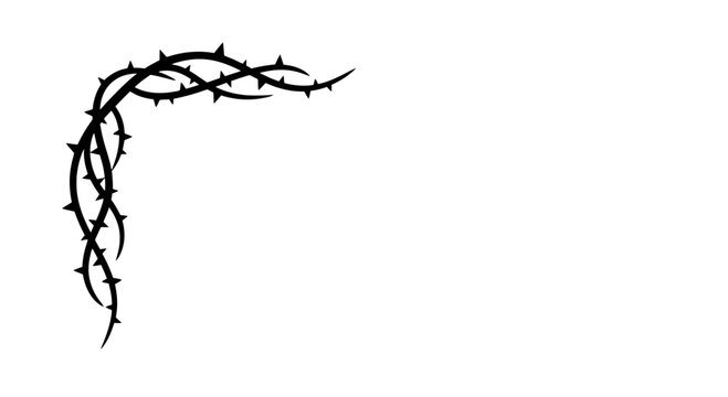 Black thorny branch silhouette on white background.