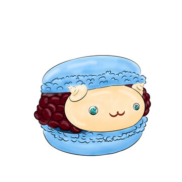 Cat in a macaroon 