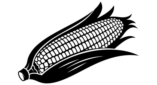 Black and white graphic illustration of a ripe ear of corn with husks pulled back, botanical illustration