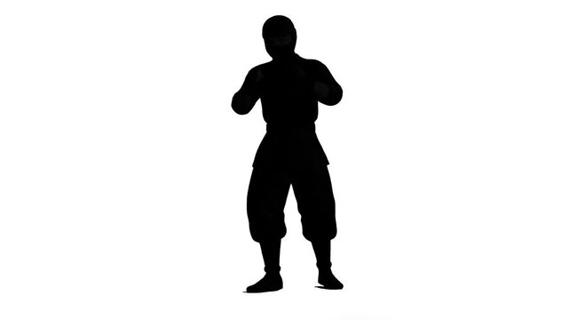 A clean full-body silhouette of a martial artist or ninja in a fighting pose isolated on a white backdrop. Perfect for instructional graphics, UI elements, animated videos, and sports illustrations.