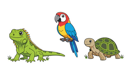 Fototapeta premium Cute Cartoon Tropical Animals Set: Green Iguana, Colorful Macaw Parrot, and Turtle Illustration for Kids and Wildlife Education