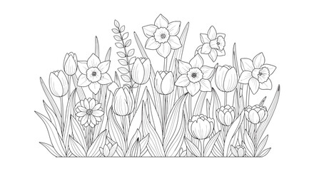 Obraz premium Outline drawing of spring flowers and green grass with black and white line art hand drawn daffodils