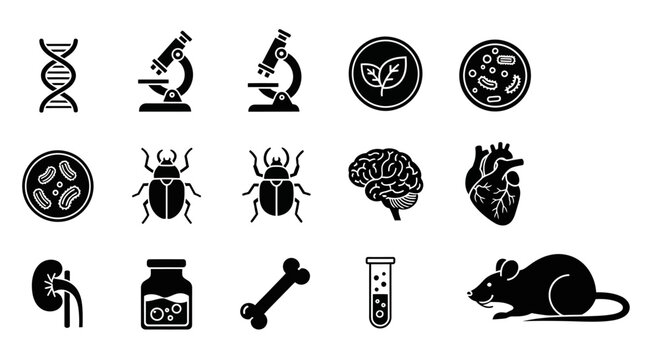 Biology Elements Vector Art Illustrating Anatomy and Science Concepts