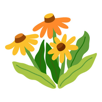 Orange and yellow flowers in flat style. Vector illustration of a decorative plant with simple shapes and colors. Cute botanical image for nature themed designs, prints and stationery