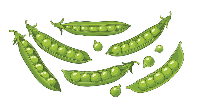 Selection of fresh green pea pods some split open to reveal round peas and individual peas scattered around in a natural arrangement.