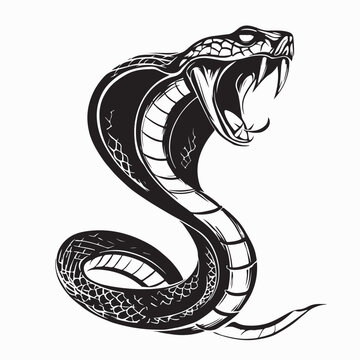 Angry Snake Attack Open Mouth Logo Vector Illustration On White Background