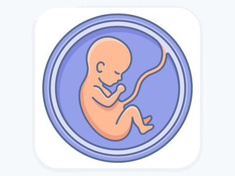 Human Fetus in Womb Vector Illustration Icon - Prenatal Development and Pregnancy Healthcare Concept