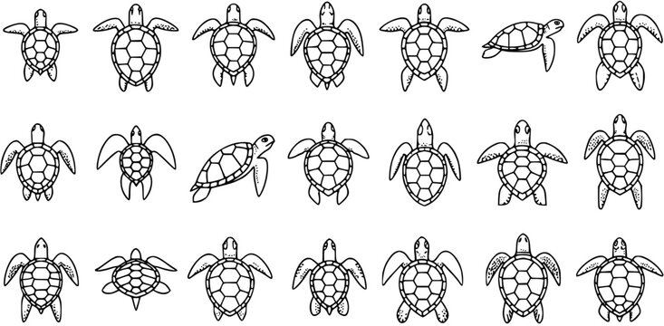Black and White Line Art Collection of Sea Turtles in Various Poses for Wildlife and Marine Themes