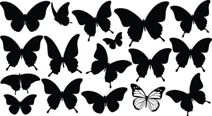 Collection of black butterfly silhouettes, one detailed outline, on white background, insect © Graphic Shops