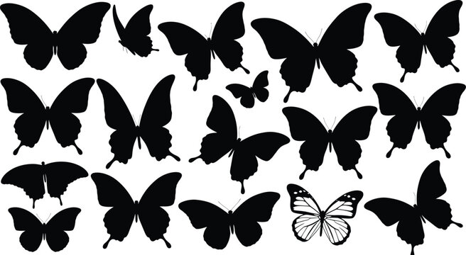 Collection of black butterfly silhouettes, one detailed outline, on white background, insect