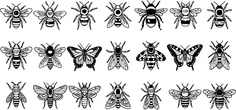 Black  White Line Art Insect Collection: Diverse Bees, Wasps, and Butterfly Outlines for Nature, Entomology  Biology Designs