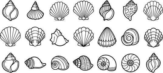 Collection of Black and White Line Art Seashells. Outline Icons of Various Sea Shells and Conch Shells for Marine, Beach, and Summer Designs. © pixsource