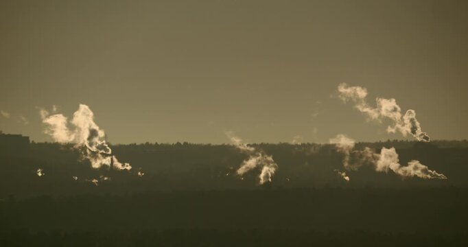 Several distant industrial steam plumes rise above dark treeline in warm golden backlight Atmospheric telephoto city edge landscape with haze energy infrastructure and winter air pollution mood