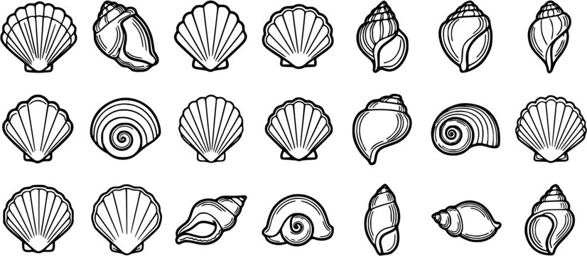 Marine Seashells Black  White Line Art Vector Set. Collection of Outline Ocean, Beach, and Coastal Shell Icons for Summer Designs and Nature Themes.