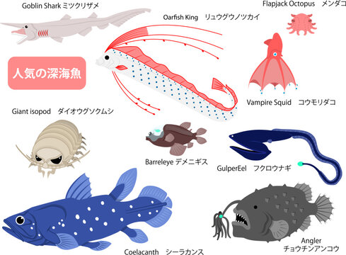 Coelacanth」の写真素材 | 1,226件の無料イラスト画像 | Adobe Stock