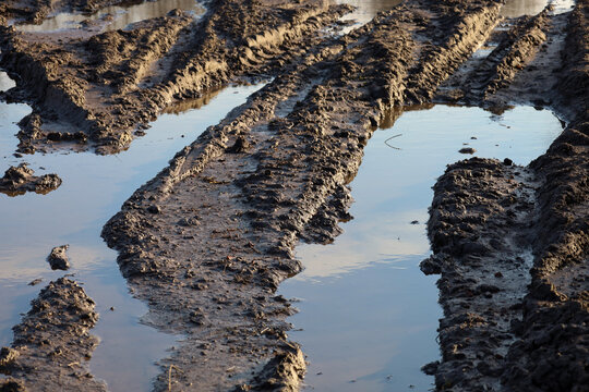 Deep tire ruts from heavy machinery on a muddy field road, filled with water after rain. The texture of wet black soil and the mirror reflection of the sky in puddles create an atmospheric view of agr