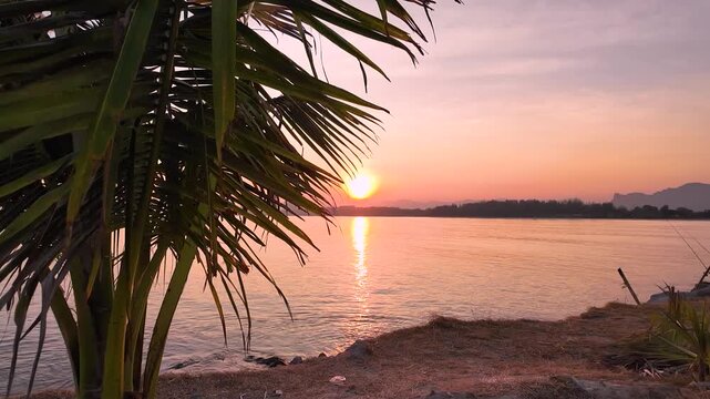 Golden sunset reflection on sea from breakwater jetty with exotic palm foreground