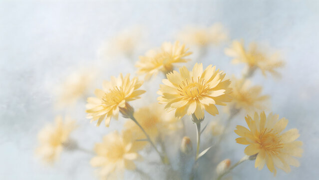 Yellow flowers in soft focus