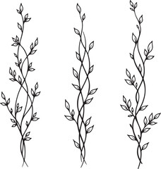 Fototapeta premium Botanical vine illustrations, leafy branch designs, black line art, floral elements, vector graphics