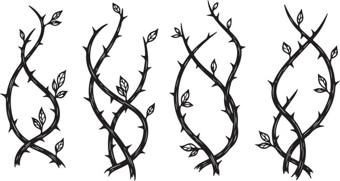 Thorn branch, twig, leafy vine vector illustrations, black line art, botanical elements, 3 designs