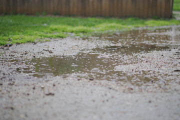 Fototapeta premium Rain creates puddles on the ground in a grassy area
