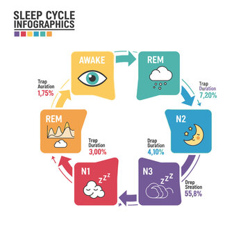 Sleep Cycle Infographics: Awake, REM, N1, N2, N3 Stages with Icons and Duration Percentages
