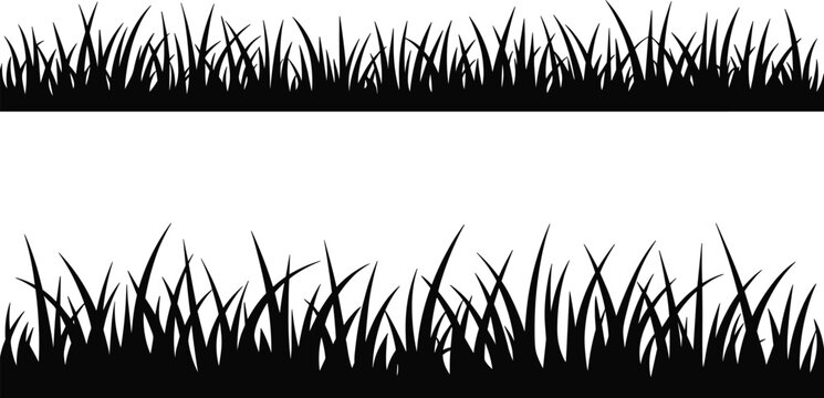 Grass silhouette borders set with wild meadow plants, natural lawn edges isolated on white background, botanical vector illustration design