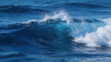 Fototapeta premium Ocean wave in motion