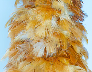Beautiful  eagle  chicken feather pattern texture background © nadtytok28