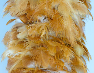 Beautiful eagle  chicken feather pattern texture background © nadtytok28
