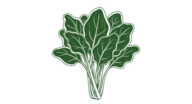 Green leafy vegetable plant closeup.