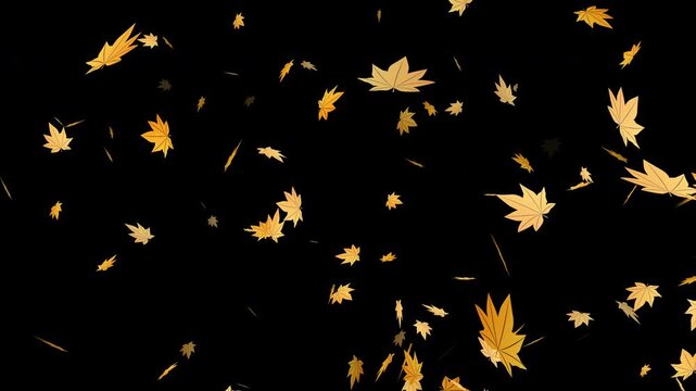 Autumn leaves falling 2d animated element, thanksgiving seasonal clip, flat style, 4k resolution, black background, suitable  autumn projects.