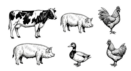 Black and white farm animal illustrations. © Yasmin