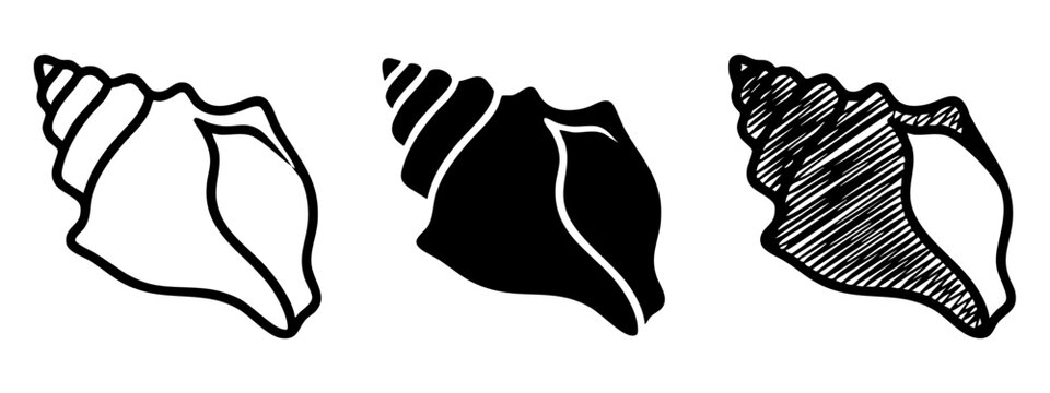 Whelk sea shell icon set, marine nature symbols for beach and summer themes